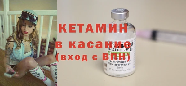 сатива Абинск