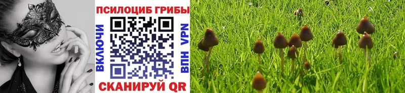 Псилоцибиновые грибы GOLDEN TEACHER  Чкаловск 